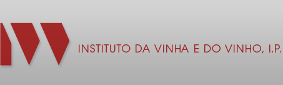 Newsletter n.º 31 - Foto 7